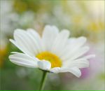 Фотография Калюжной Юлии