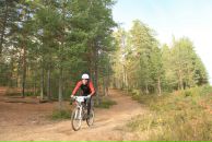 Фотография Афанасьева Александра