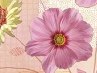 Олічка Татунь фотография #11 (источник - https://vk.com/id167179661)