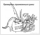 Діана Ставка фотография #8 (источник - https://vk.com/id166687039)