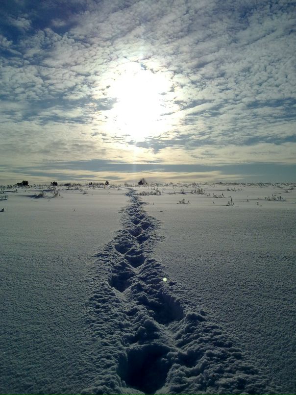 Dima Shaverin фотография #22