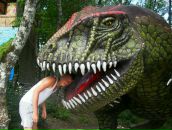 Фотография Иванова Александра