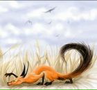 Фотография Бегишевой Анастасии