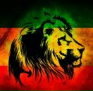 Серега Оніщік фотография #11 (источник - https://vk.com/id136373437)