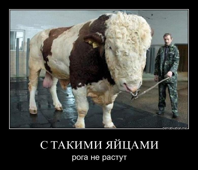 Артём Синявский фотография #33 из vk профиля id2637994