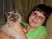 Фотография  