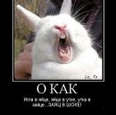 Сергій Якименко фотография #42 (источник - https://vk.com/id81444071)