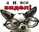 Вітя Талащук фотография #50 (источник - https://vk.com/id139575544)