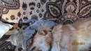 Ірочка Оверчук фотография #14 (источник - https://vk.com/id153074853)