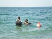 Фотография Маргаритки Ритки