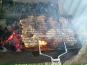 Фотография Бабочки Екатерины