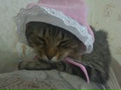 Фотография Дымниковой Ирины