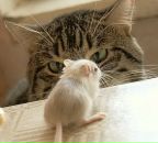 Фотография Хатьковой Елены