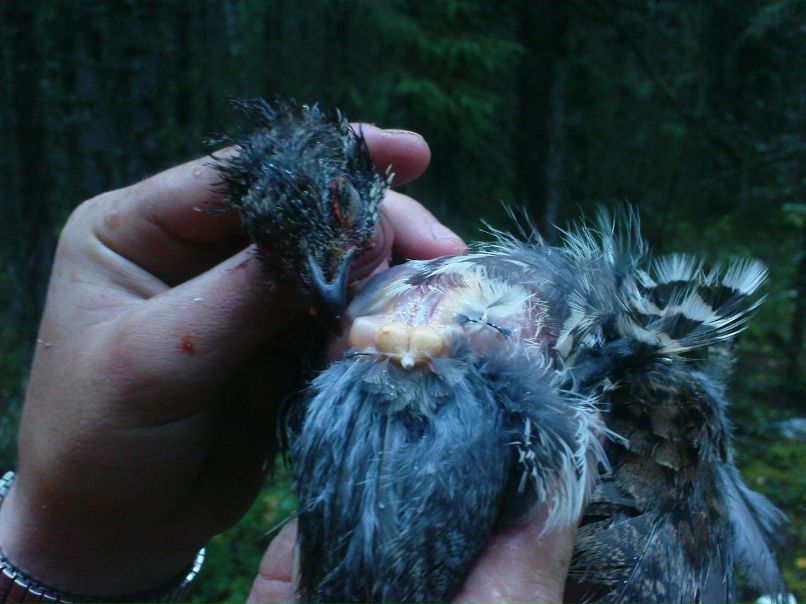 Степан Спирин фотография #47