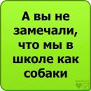 Сергій Погорілий фотография #32 (источник - https://vk.com/id69992437)