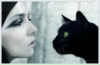 Фотография Сафиуллиной Айгуль