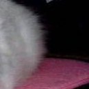 Марінка Баштан фотография #28 (источник - https://vk.com/id70088006)