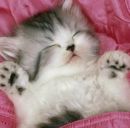 Настінька Карпович фотография #1