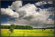 Фотография Лукьянова Вячеслава