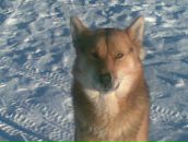 Фотография Т Жанны