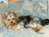 Фотография Ивановой Светланы