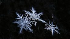 Міша Кравців фотография #7 (источник - https://vk.com/id72986635)