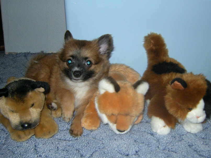 Дима Сёмин фотография #26