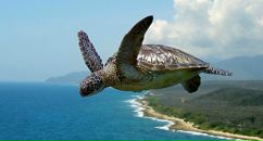 Фотография Святогоровой Надежды