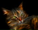 Фотография Менетилл Екатерины