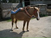 Фотография Силенковой Елизаветы