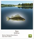Андрій Стеців фотография #44 (источник - https://vk.com/id164789428)