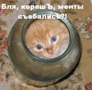 Матвій Захаревич фотография #8 (источник - https://vk.com/id142131353)