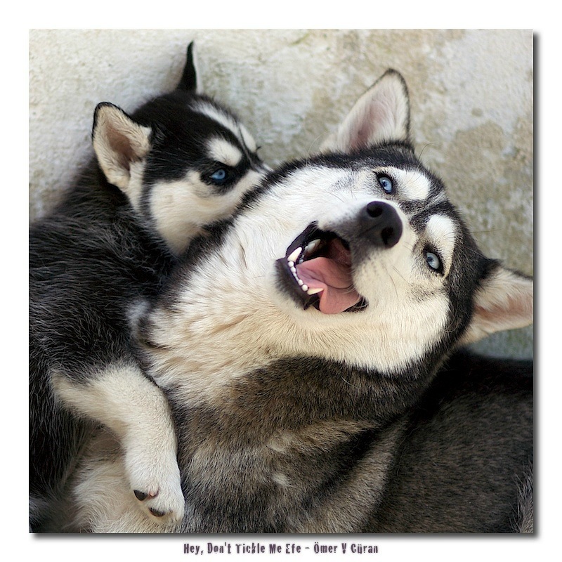 Олег Д фотография #37