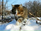 Фотография Климкиной Светланы