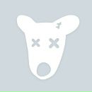 Вікторія Кобилецька фотография #33 (источник - https://vk.com/id44781208)