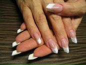 Олеандр Синий фотография #35 (источник - https://vk.com/id261522)