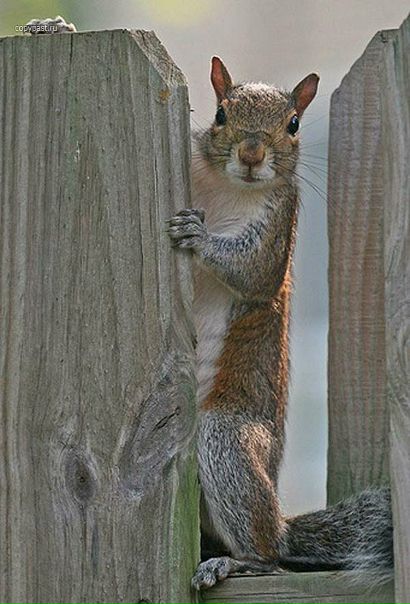 Aleksandr Orlov фото №12