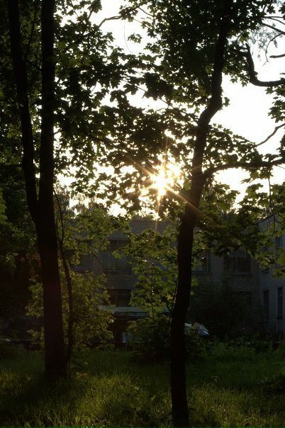 Елена Евсюкова фото №17