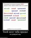 Юлия Гладких фотография #29 (источник - https://vk.com/id3231401)