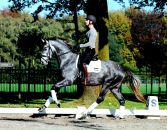 Μарина Κорнилова фотография #28 (источник - https://vk.com/id135490126)