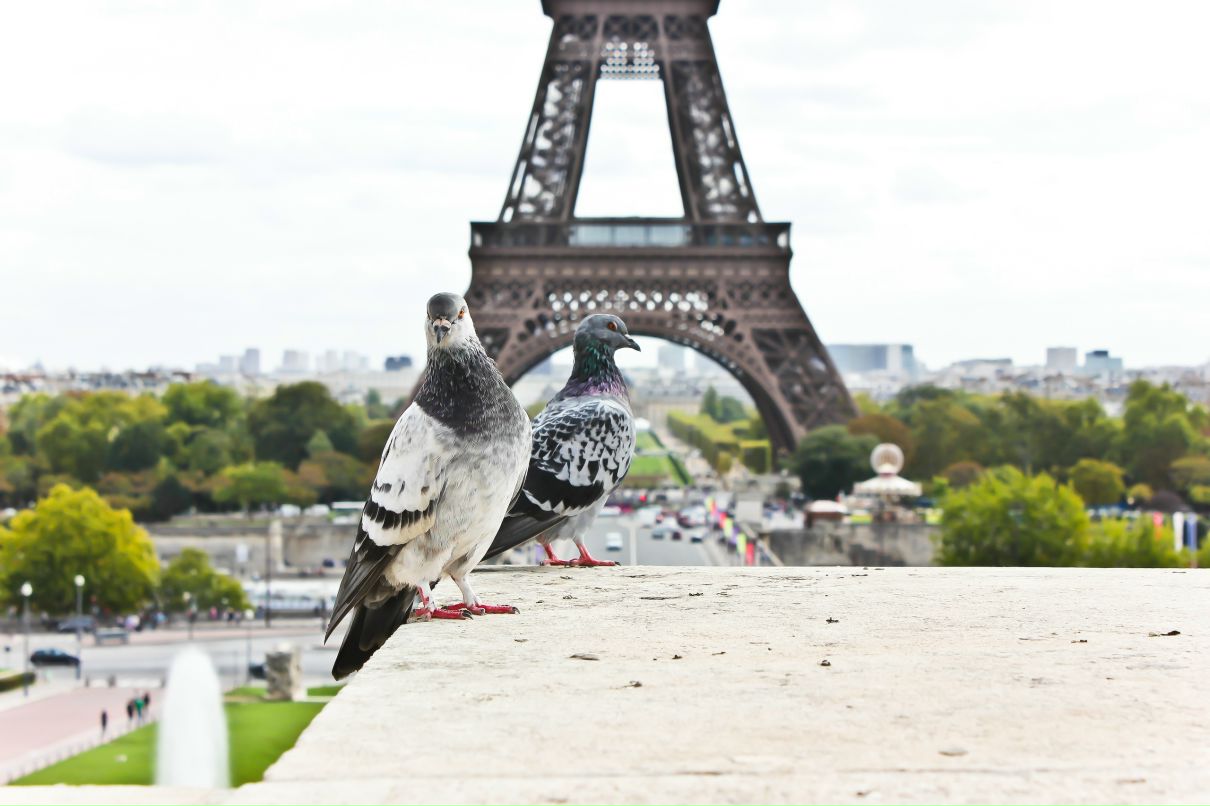 Никита Отришко фотография #18