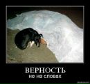 Ольга Вередін фотография #26 (источник - https://vk.com/id120300412)
