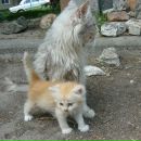 Фотография Кармазіны Юляши