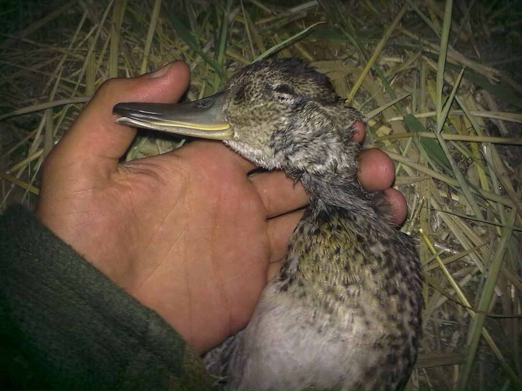 Дима Ивашкин фотография #45