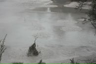 Александр Онищенко фотография #8 (источник - https://vk.com/id1753660)