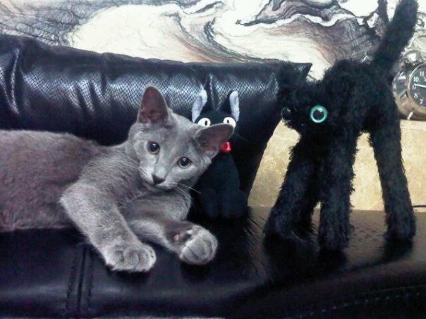 Ilatan Magic фото №1