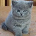 Сергій Рожко фотография #20 (источник - https://vk.com/id131605180)