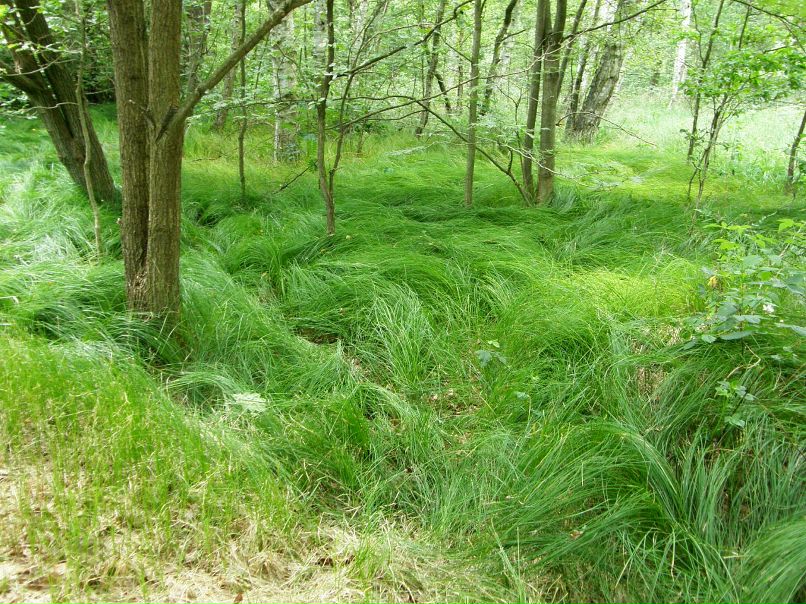 Ксения Черных фотография #44