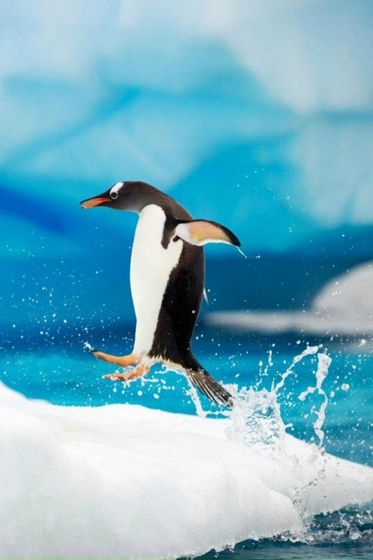 Андрей Узлов фотография #39