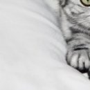 Наталія Олійник фотография #40 (источник - https://vk.com/id85387598)